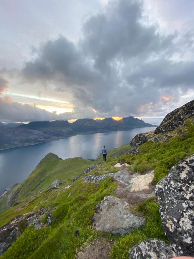 Kraemmervikveien 33 Ballstad Dış mekan fotoğraf